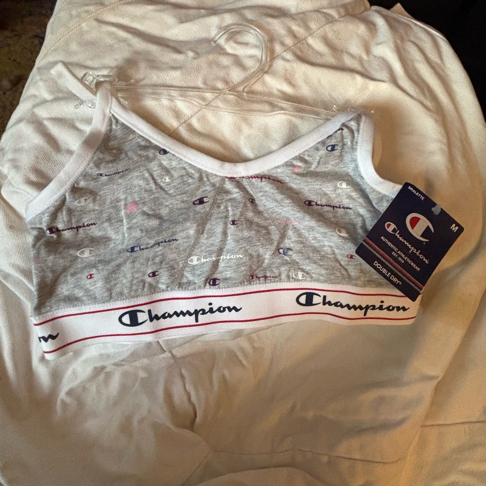 Champion Heather Gray Sports Bra